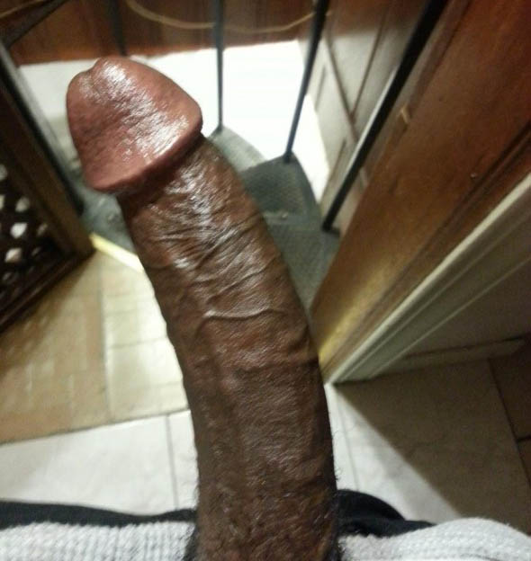 Big Brown dick - Amateur Interracial Porn